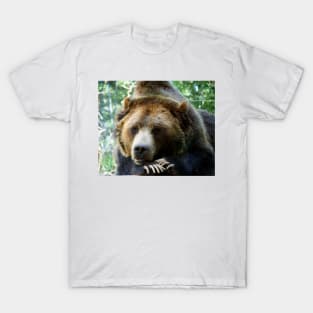 Grizzly Bear in the Colorado Rockies summer shade T-Shirt